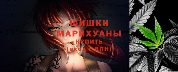 МДПВ Горняк