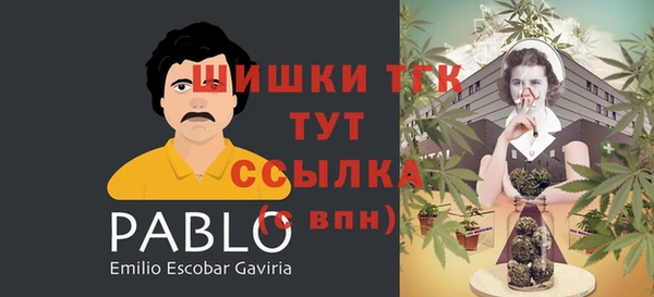 стаф Горнозаводск