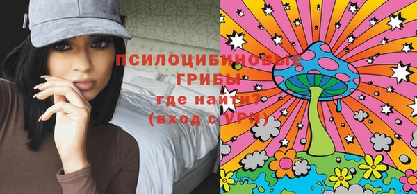 МДПВ Горняк
