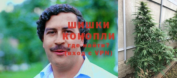 не бодяженный Горно-Алтайск