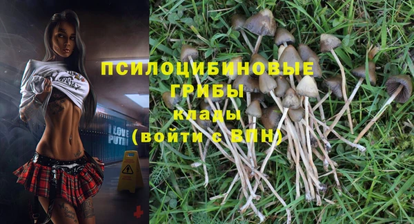 МДПВ Горняк
