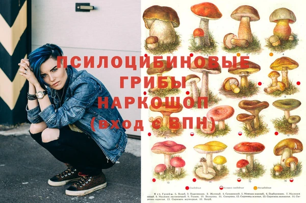 стаф Горнозаводск