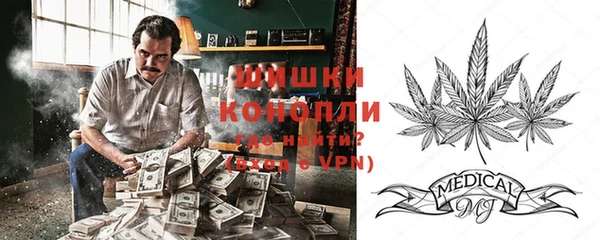 не бодяженный Горно-Алтайск