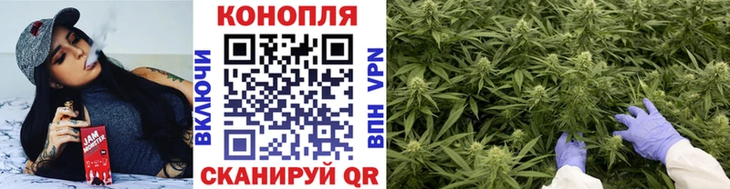 Бошки Шишки OG Kush Валуйки
